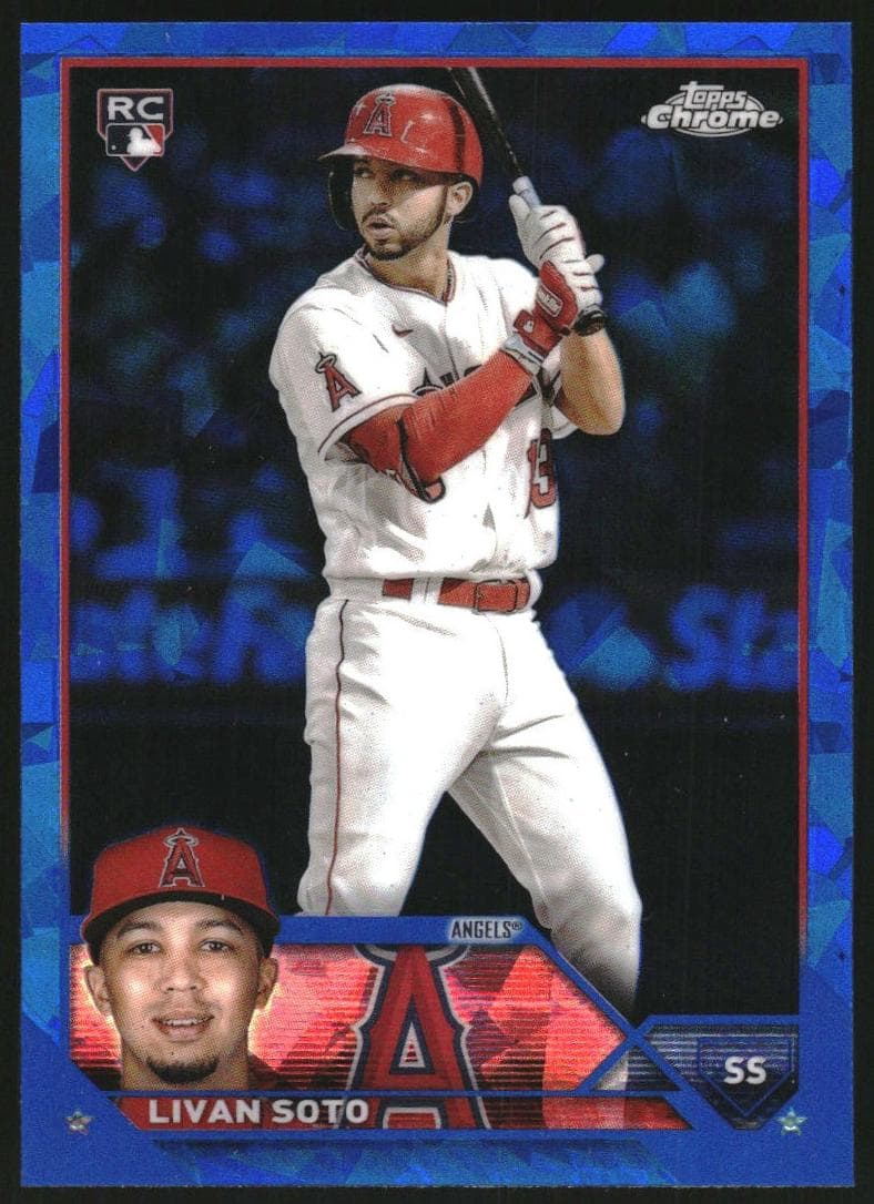 Livan Soto #371