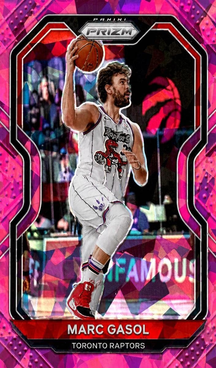 Marc Gasol #206