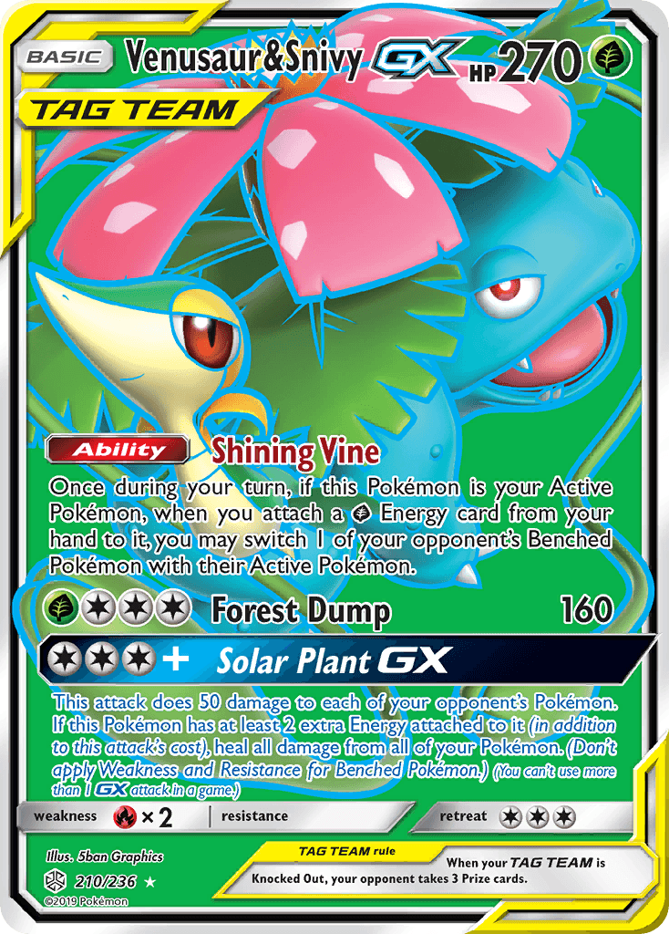 Venusaur & Snivy GX #210