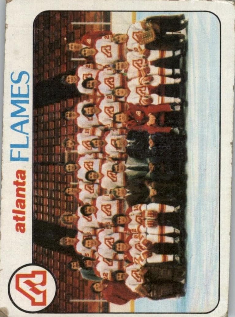 Atlanta Flames Team #192