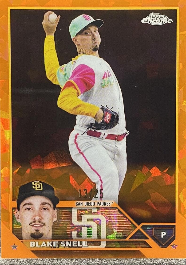 Blake Snell #208