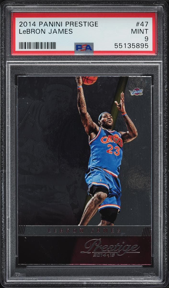 LeBron James 2014 panini