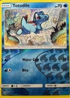 Totodile 2017 Sun