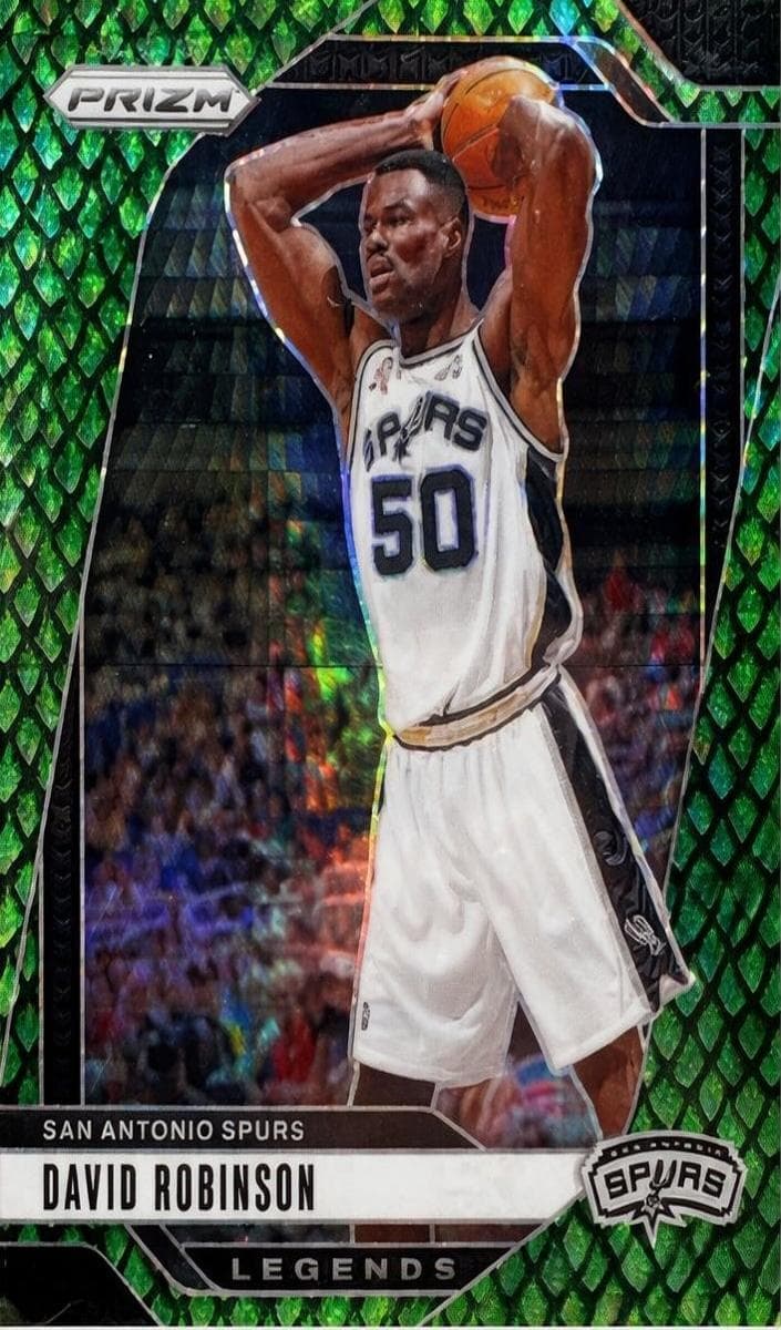 David Robinson #288