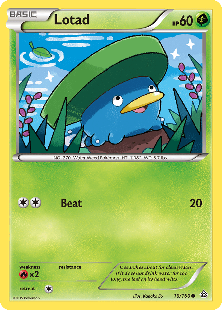Lotad 2015 Pokemon
