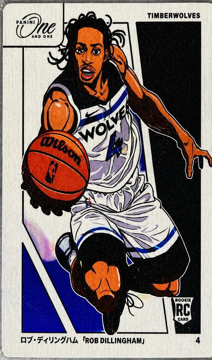Rob Dillingham 2024 panini Panini One and One