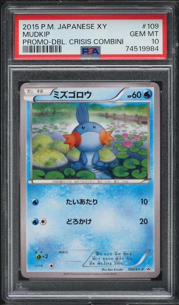 Mudkip #109