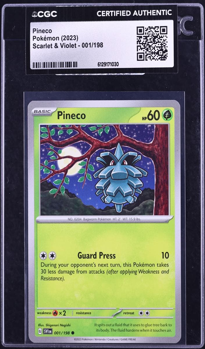 Pineco #1