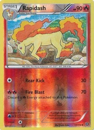 Rapidash #17