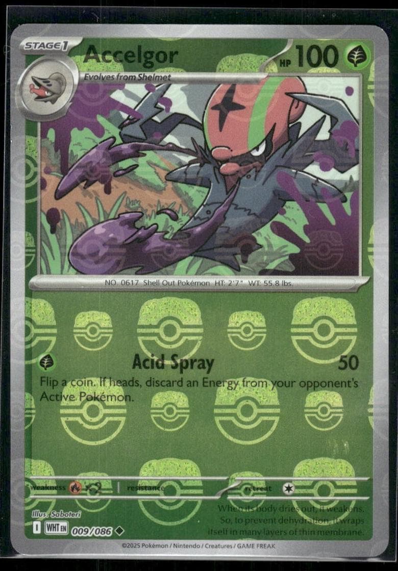 Accelgor #9