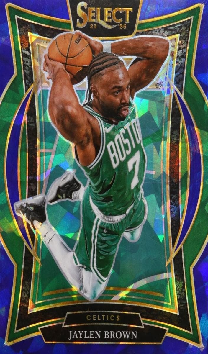 Jaylen Brown #29