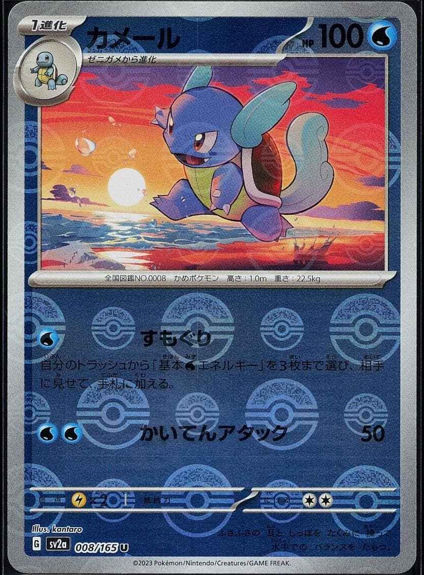 Wartortle #8