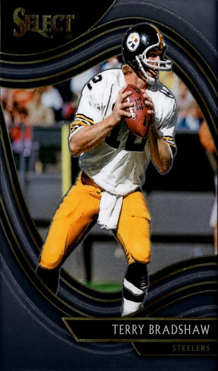 Terry Bradshaw #308