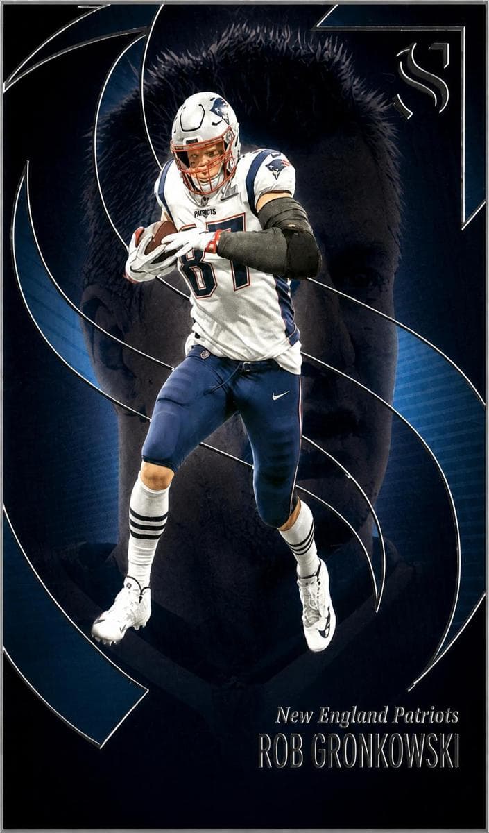 Rob Gronkowski #19