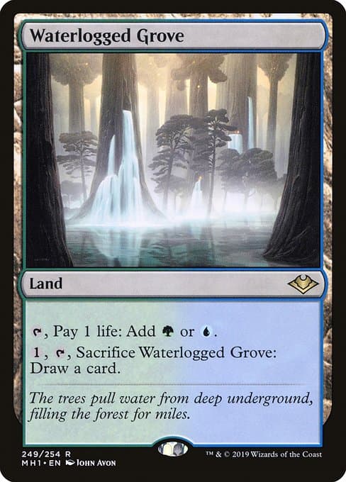 Waterlogged Grove 2023 Magic: The Gathering Doctor Who