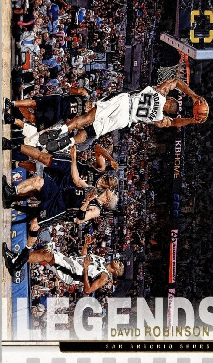 David Robinson #208