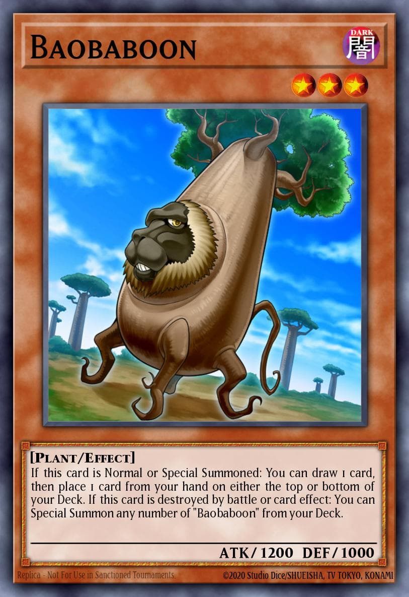 Baobaboon #MP18-EN009