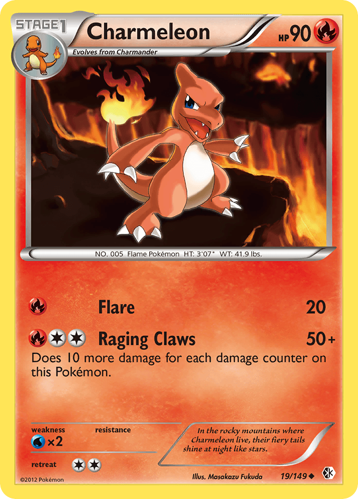 #19