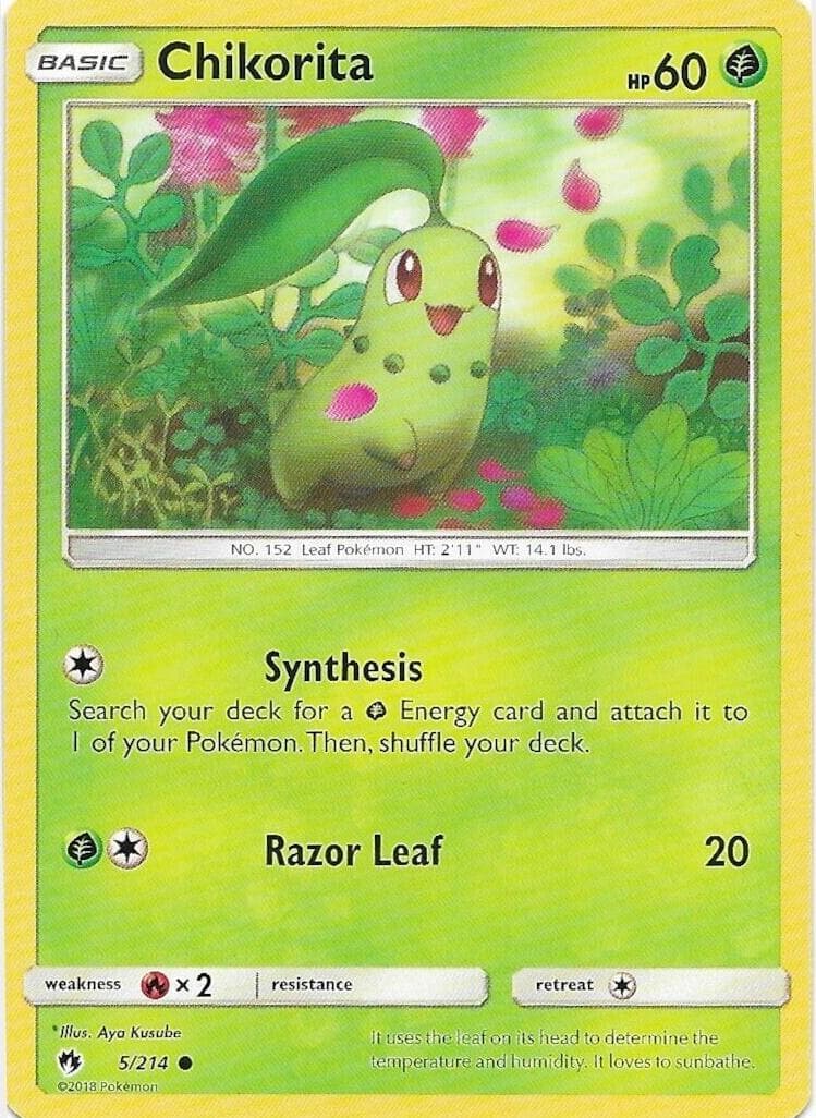 Chikorita #5