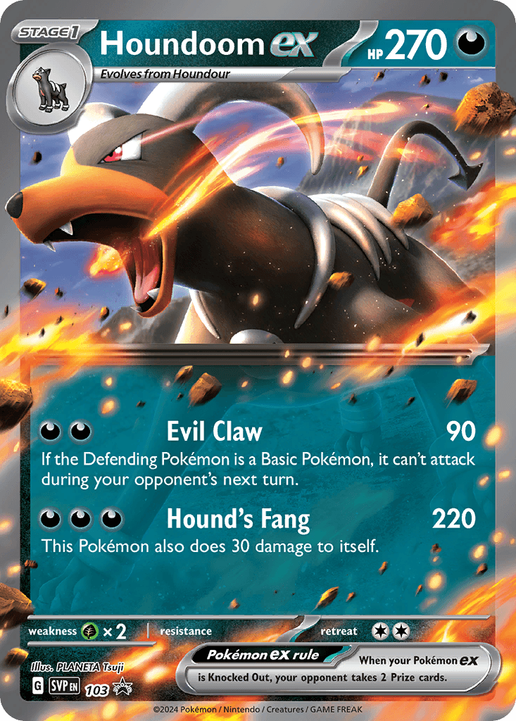 Houndoom ex #507