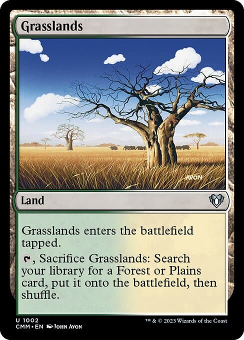 Grasslands 2022 Magic: The Gathering Dominaria United Commander