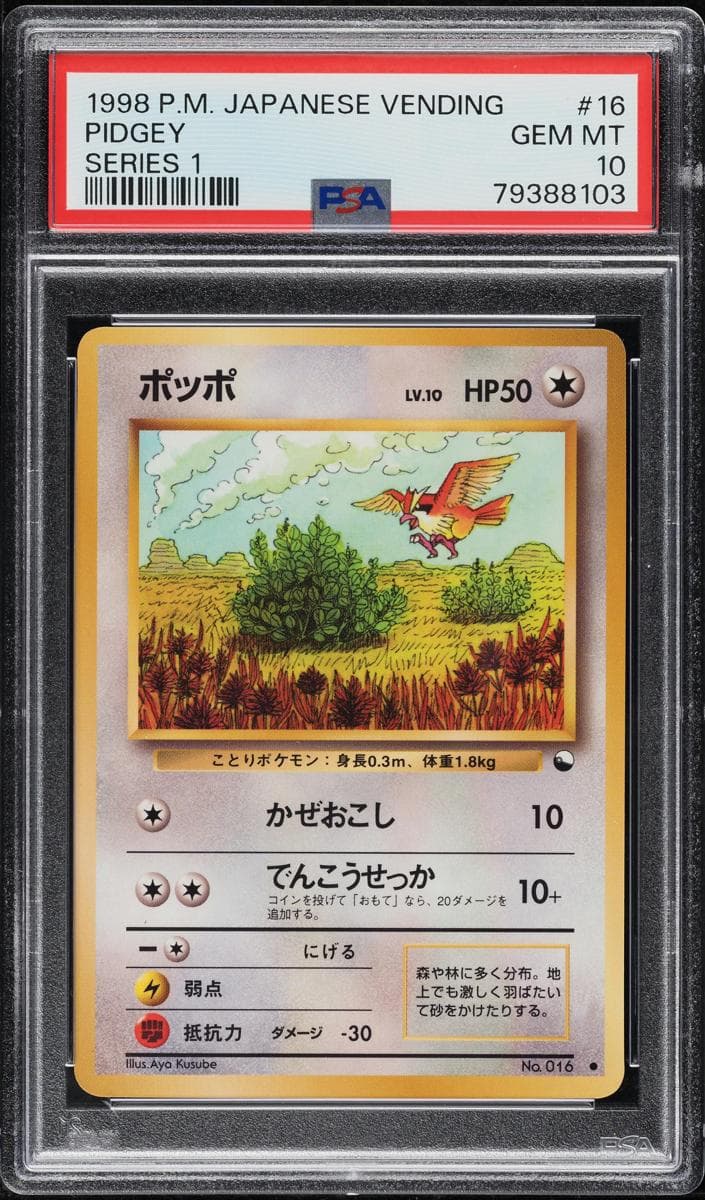 Pidgey #16