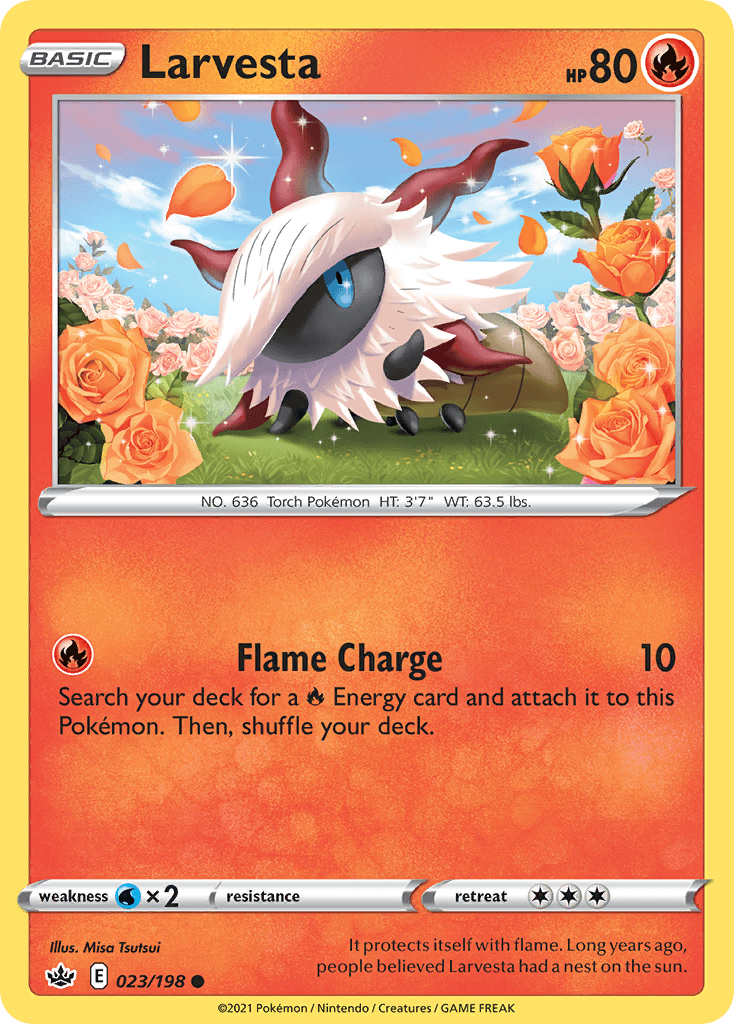 #23