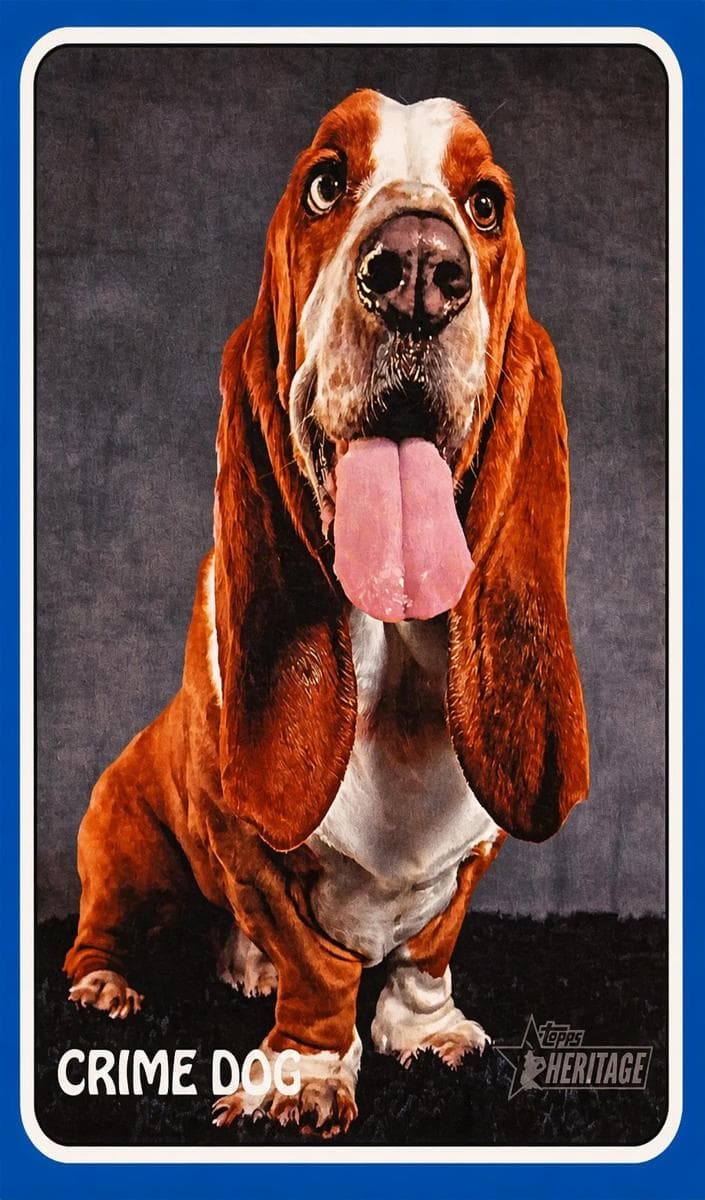 Crime Dog #75Z-17