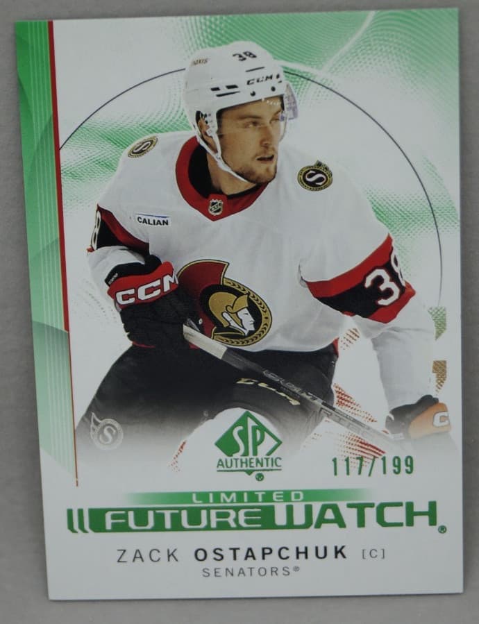 Limited Future Watch 2024 Unknown 2024 Unknown green
