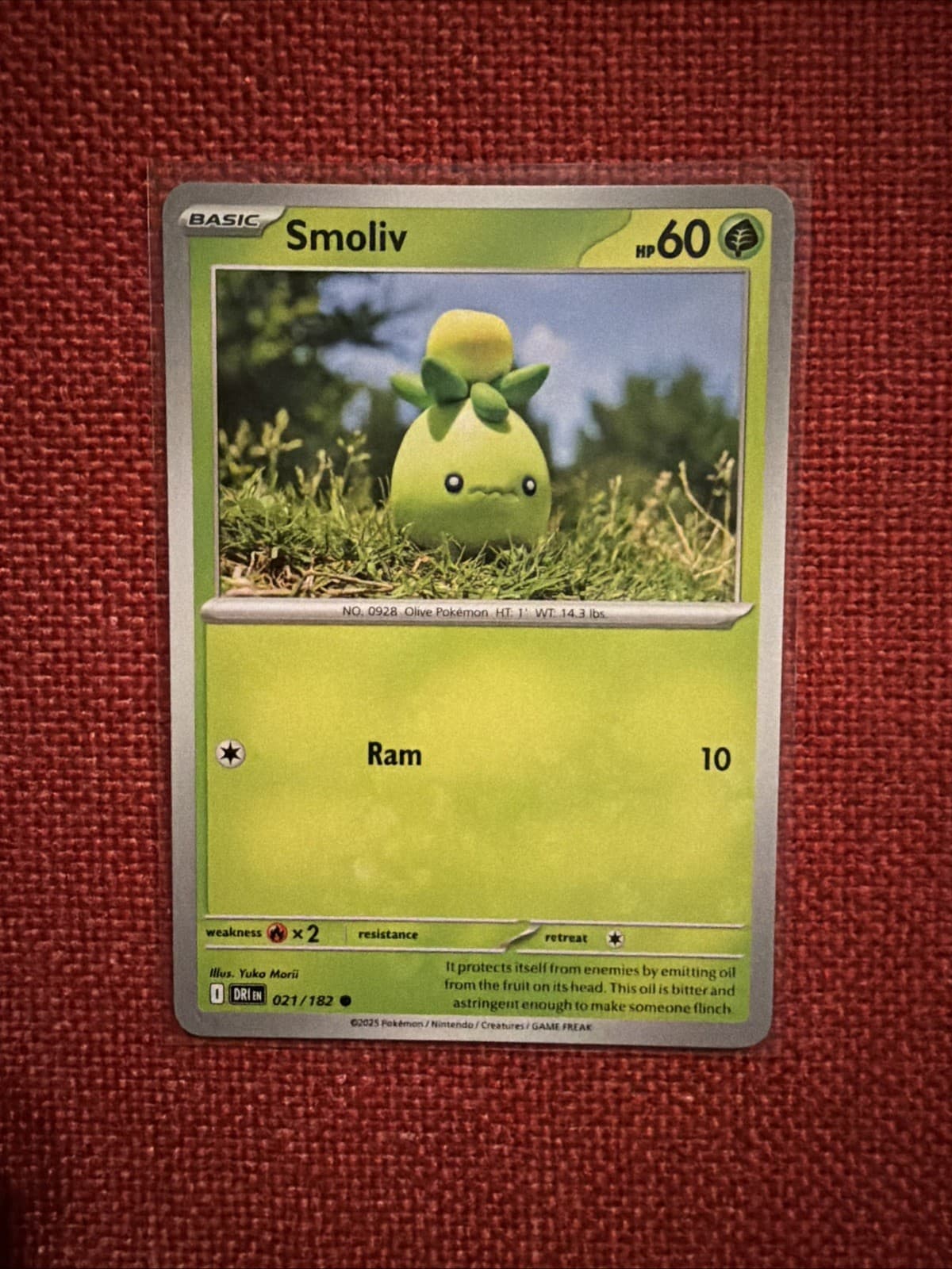Smoliv Scarlet 2025 Unknown
