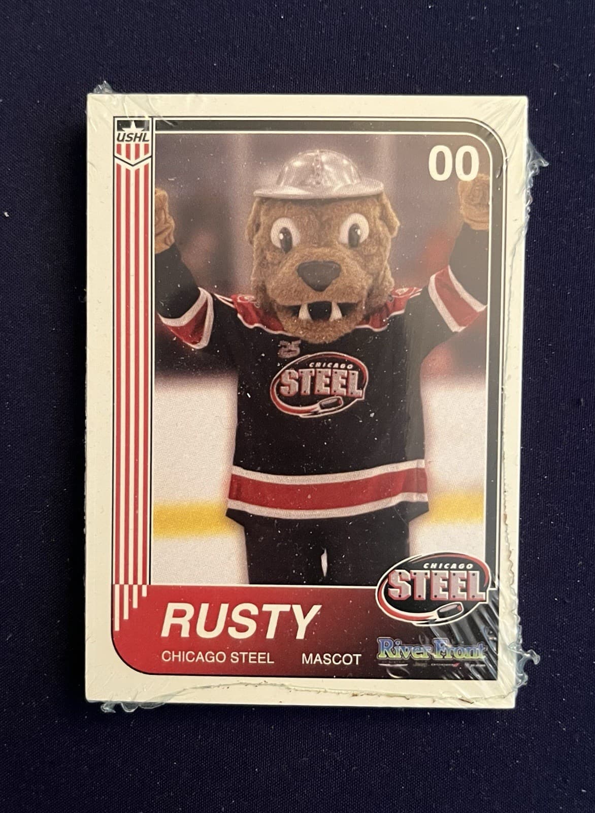 Chicago Steel Hockey 2024 Unknown