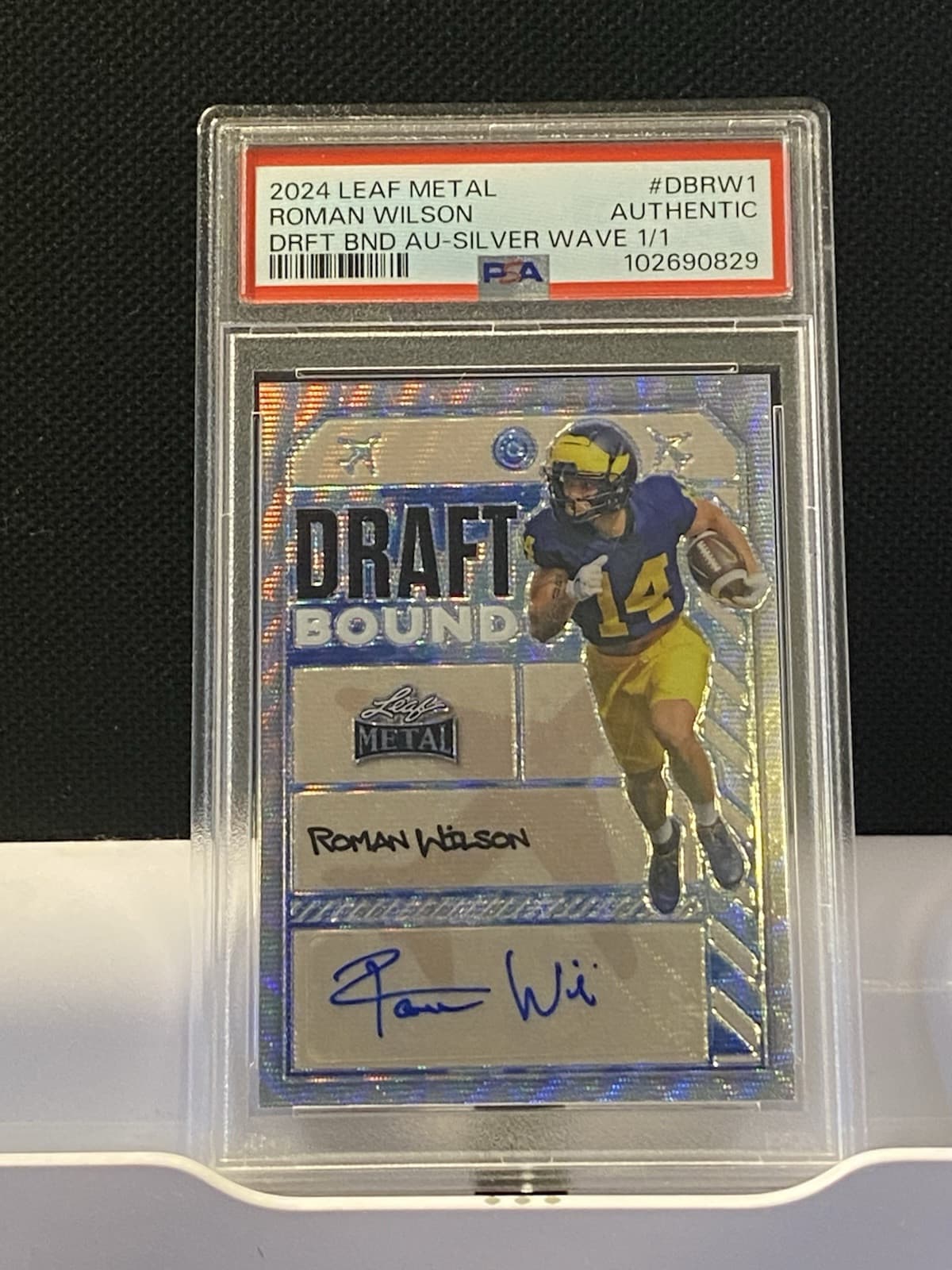 Metal Draft Bound 2024 Leaf 2024 Leaf