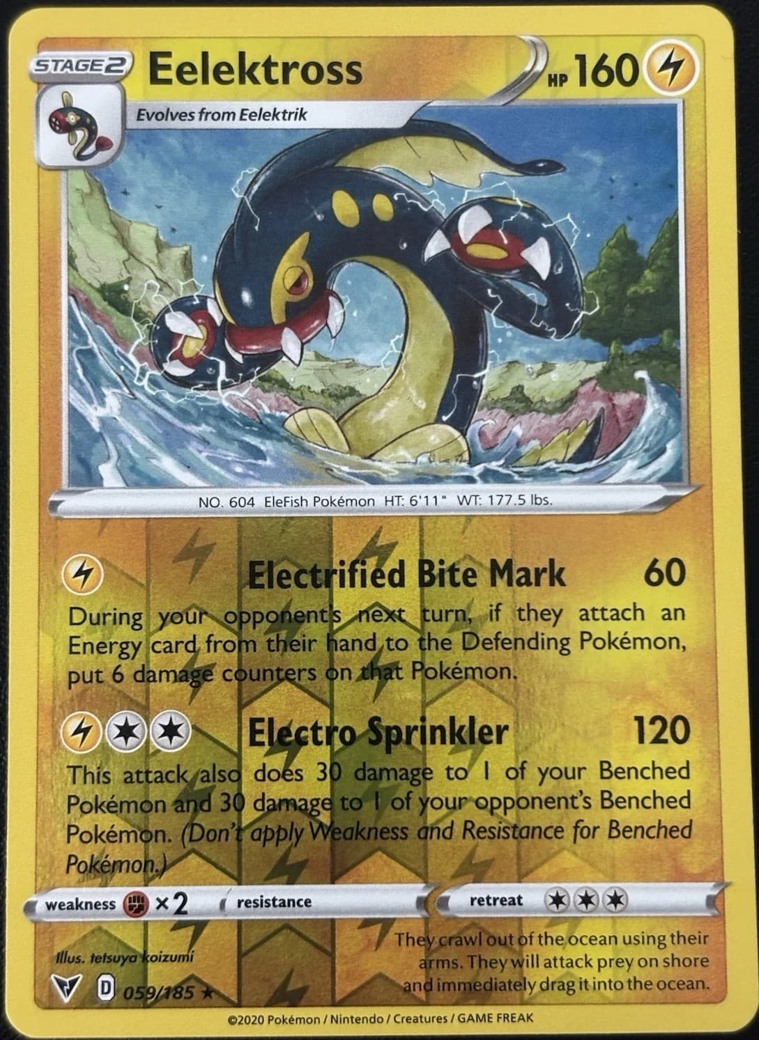 Pokemon Sword 2020 Unknown