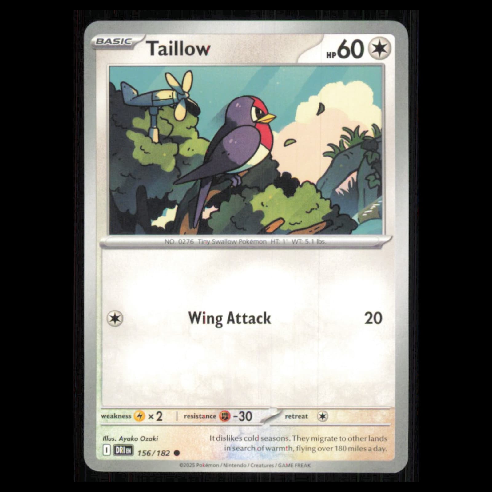 Taillow Scarlet 2025 Unknown 2025 Unknown