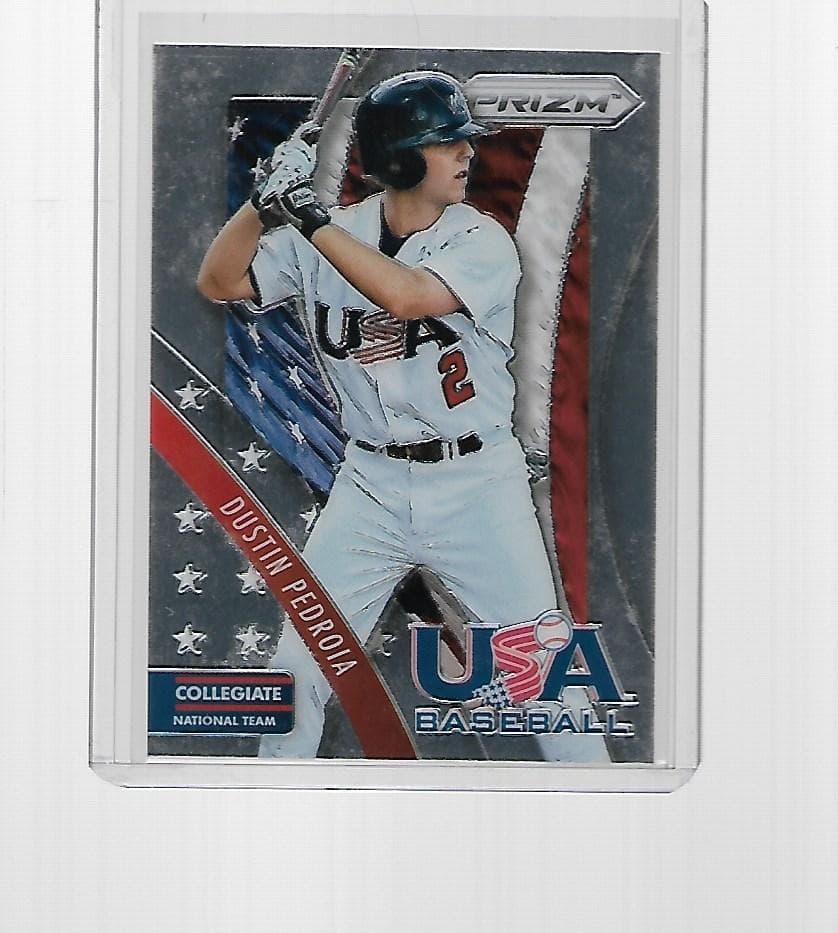 BASEBALL USA BASEBALL DUSTIN P 2014 Panini Prizm