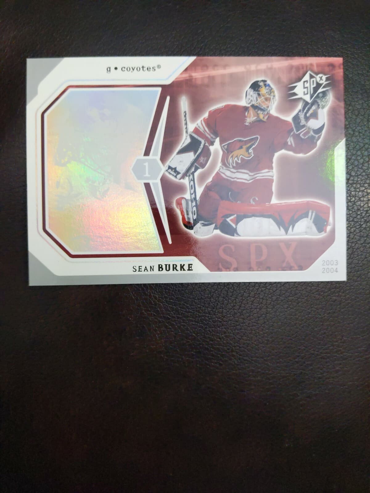 Px Coyotes Hockey #75