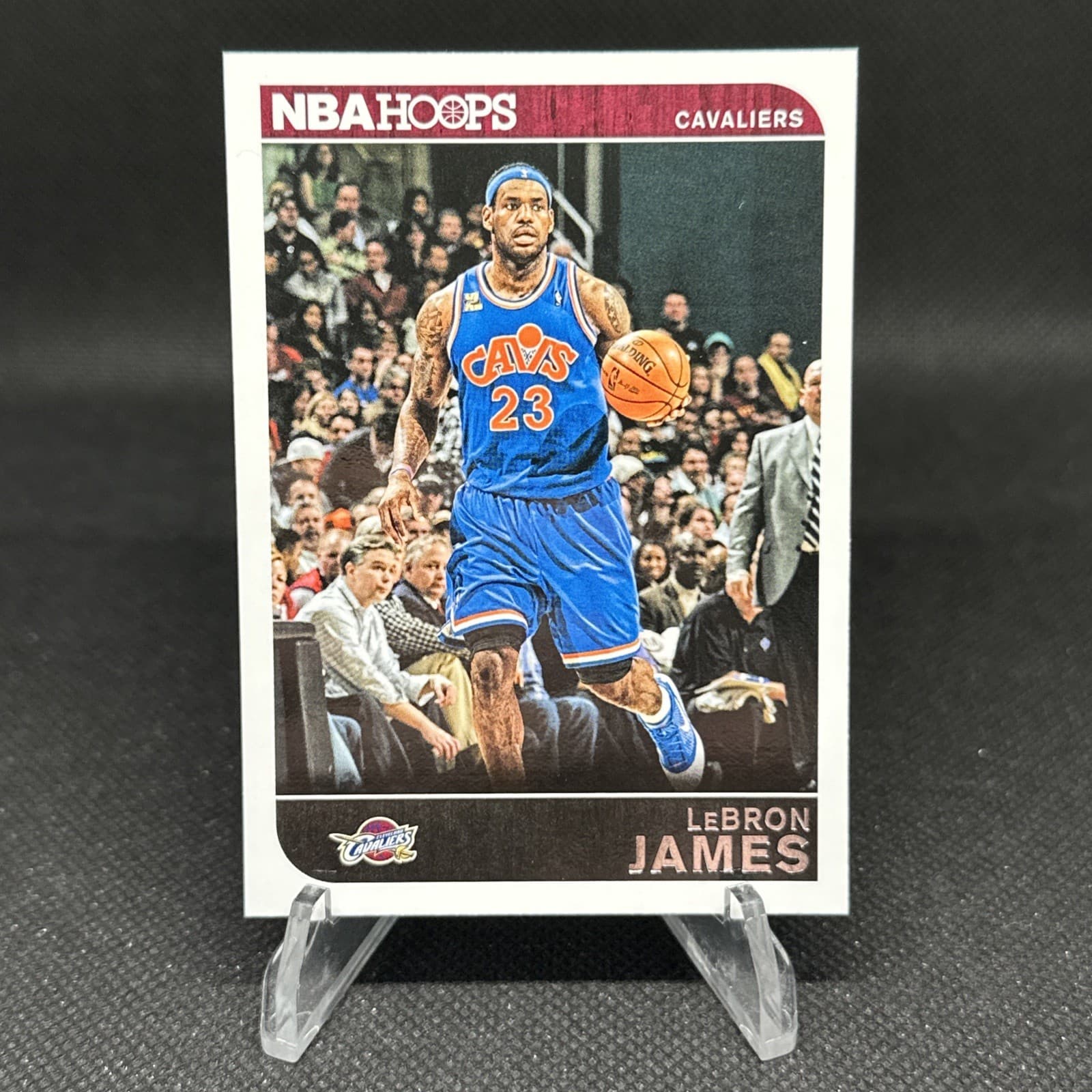 Hoops Le #117