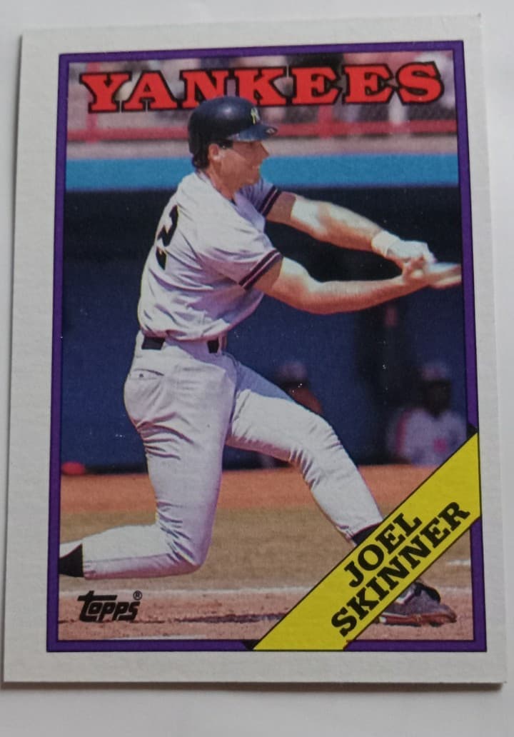JOEL SKINNER NEW YORK YANKEES