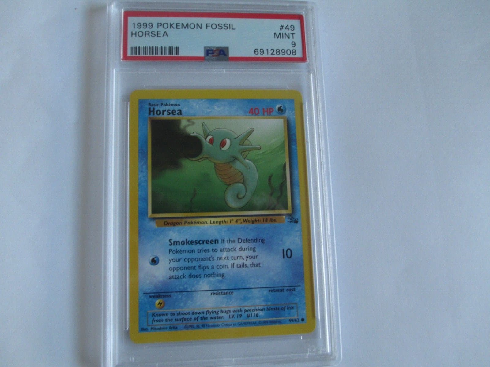 Horsea 1999 Fossil