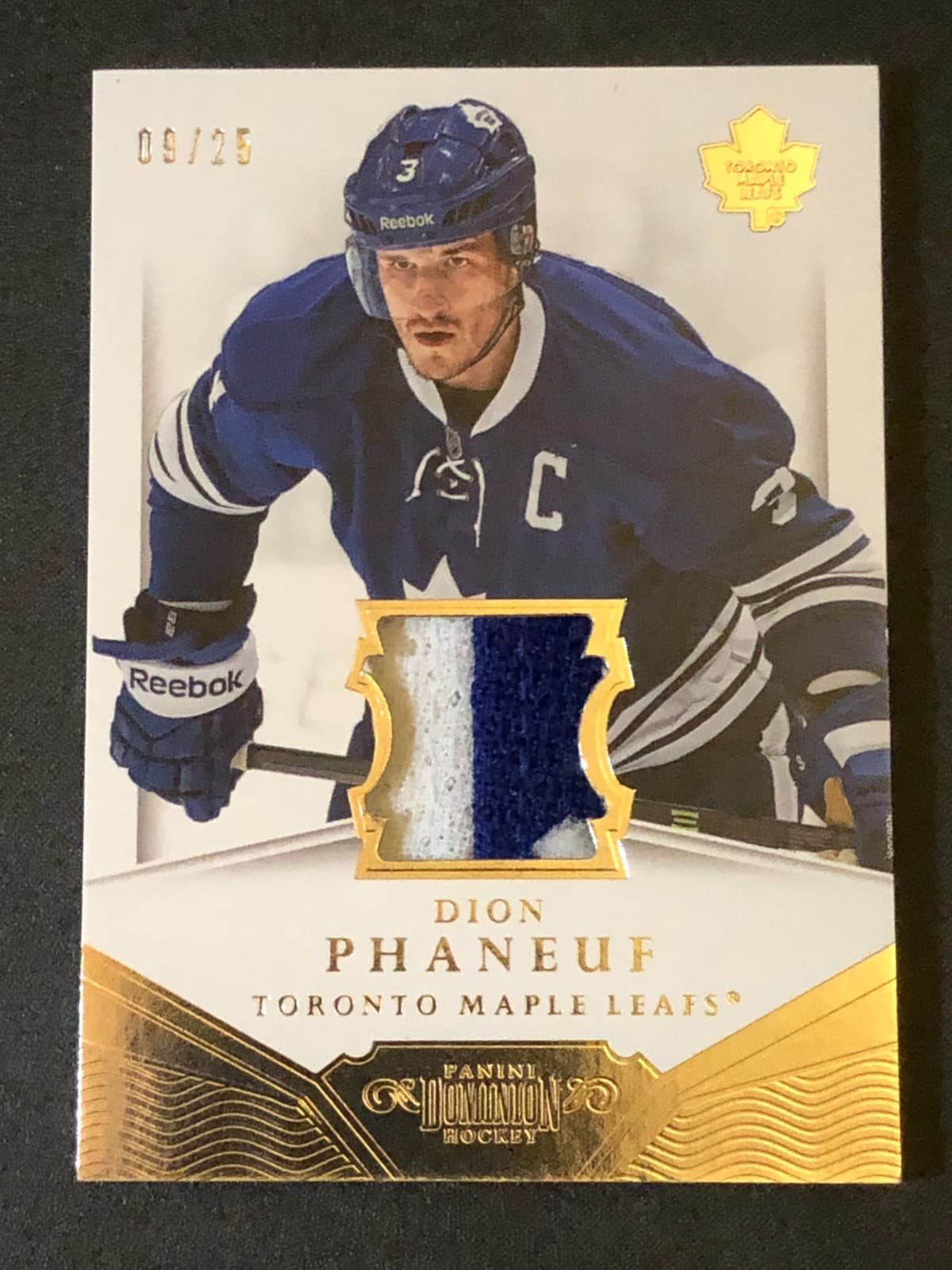 Game Worn 2013 Panini