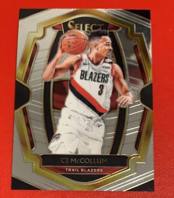 Portland Trail Blazers 2018 Panini Select