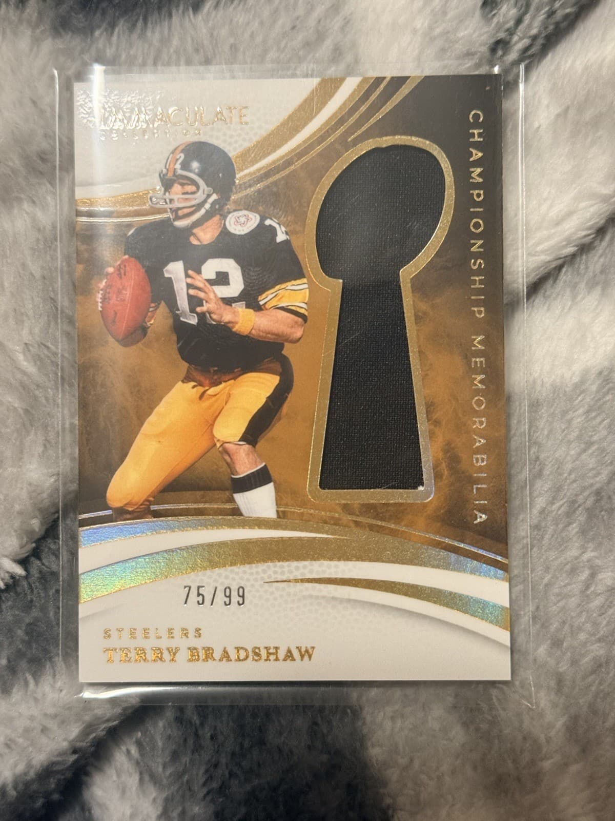 Collection Terry Bradshaw 2025 Panini Immaculate 2025 Panini Immaculate