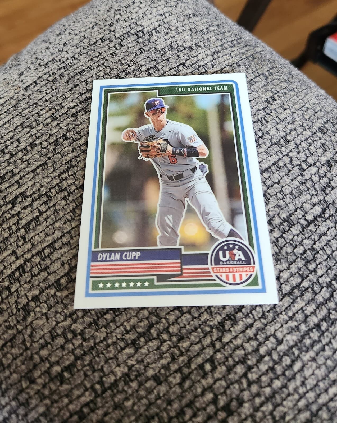 Stars And Stripes 2023 Panini 2023 Panini