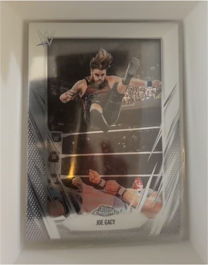 Joe Gacy trading card