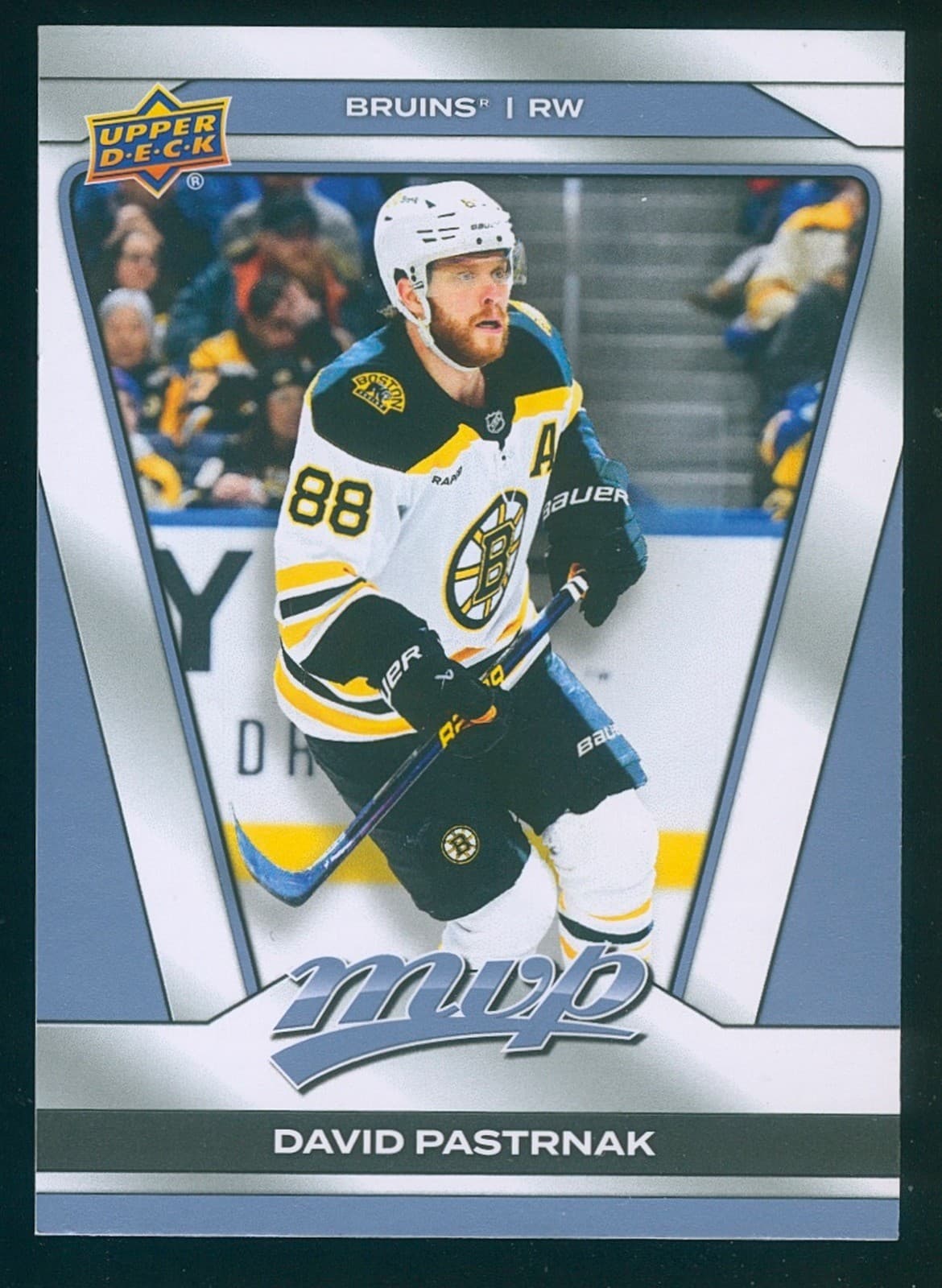 Boston Bruins #27