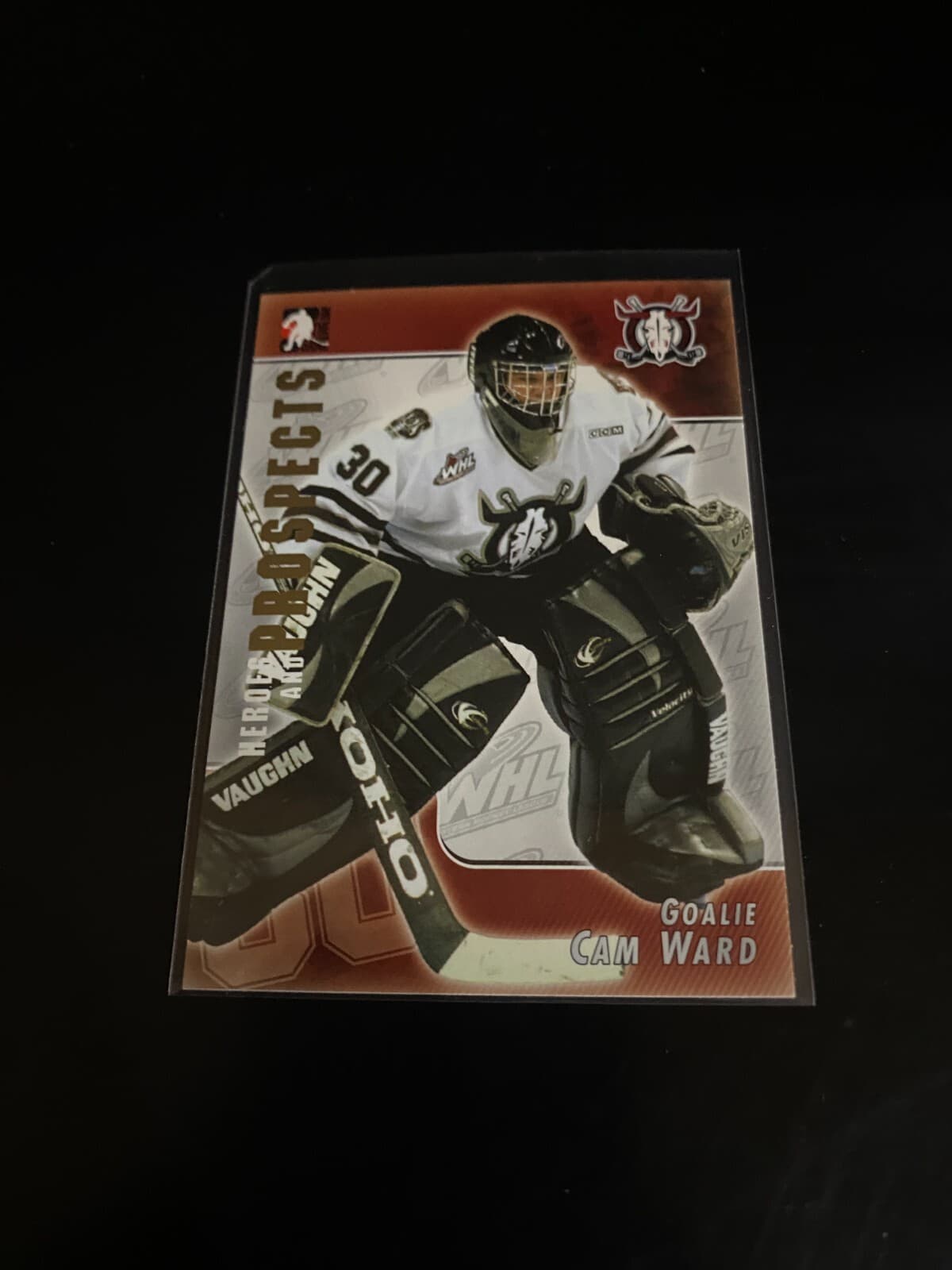 Cam Ward Heroes 2004 In The Game 2004 In The Game