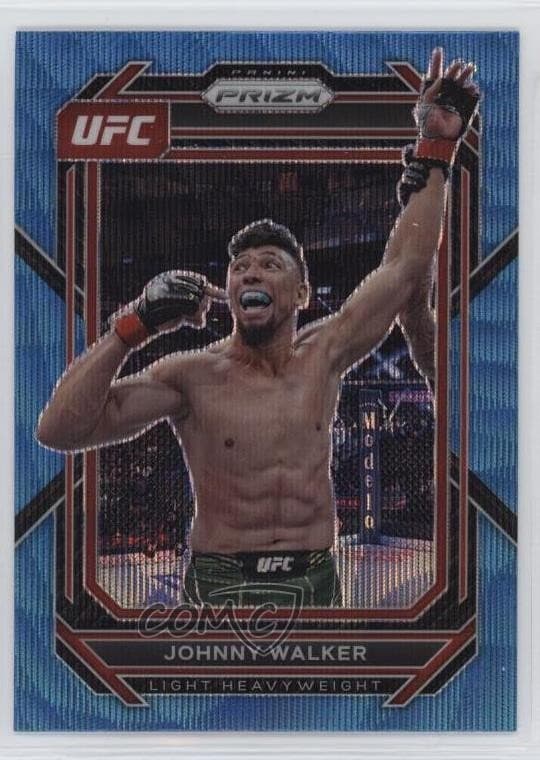 Johnny Walker 2023 panini