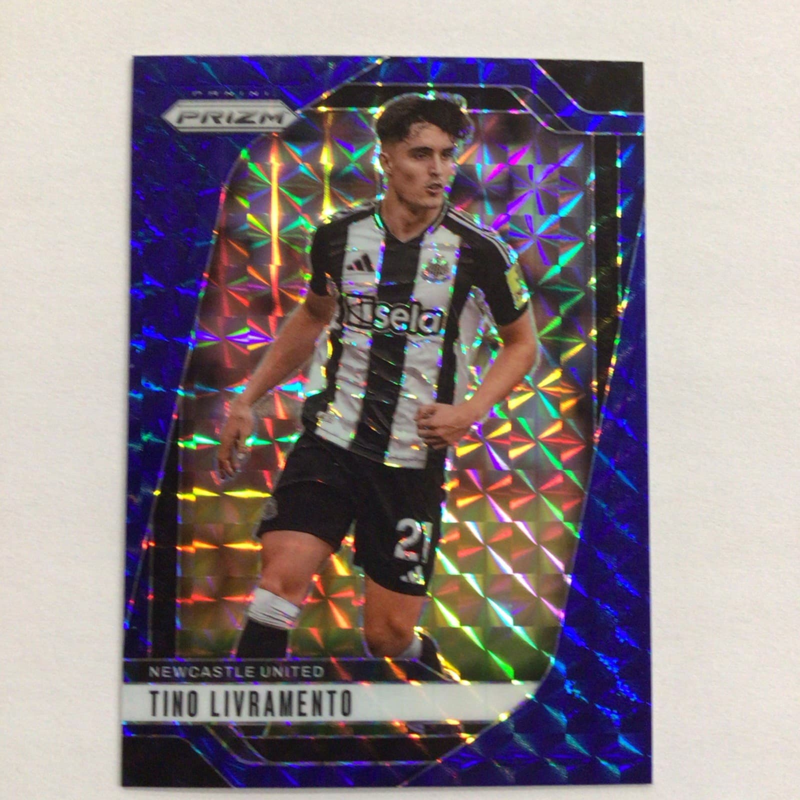 Tino Livramento 2024 panini