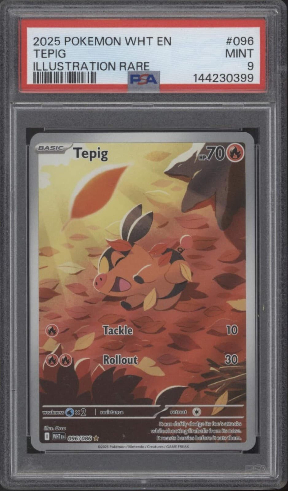 Tepig trading card