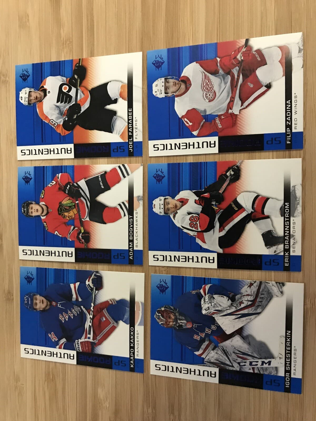 Hockey Authentics Blue 2019 Upper Deck SP 2019 Upper Deck SP
